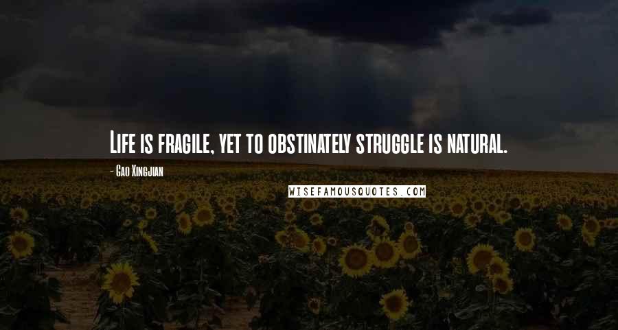 Gao Xingjian Quotes: Life is fragile, yet to obstinately struggle is natural.