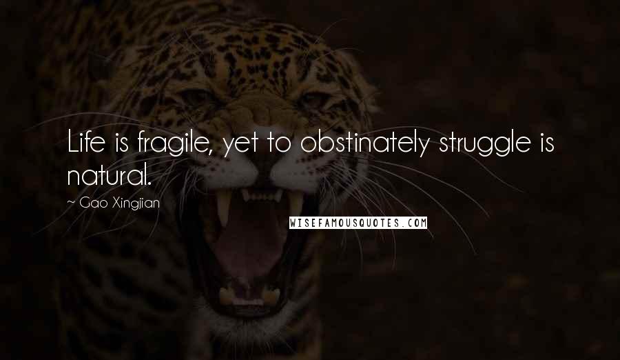 Gao Xingjian Quotes: Life is fragile, yet to obstinately struggle is natural.