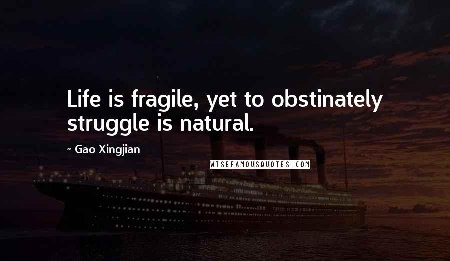 Gao Xingjian Quotes: Life is fragile, yet to obstinately struggle is natural.