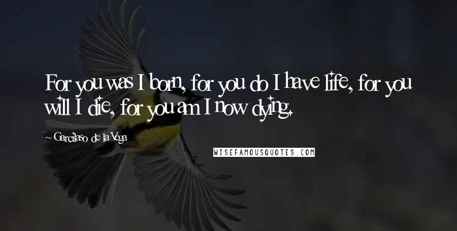 Garcilaso De La Vega Quotes: For you was I born, for you do I have life, for you will I die, for you am I now dying.