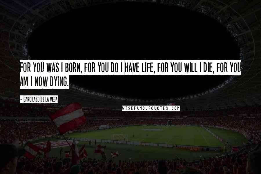 Garcilaso De La Vega Quotes: For you was I born, for you do I have life, for you will I die, for you am I now dying.