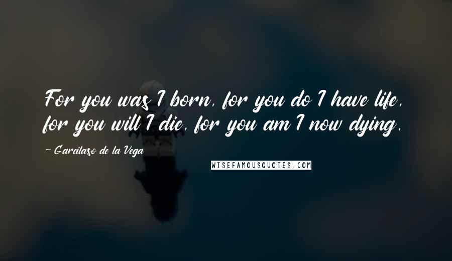 Garcilaso De La Vega Quotes: For you was I born, for you do I have life, for you will I die, for you am I now dying.