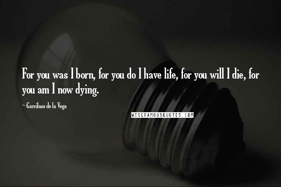 Garcilaso De La Vega Quotes: For you was I born, for you do I have life, for you will I die, for you am I now dying.