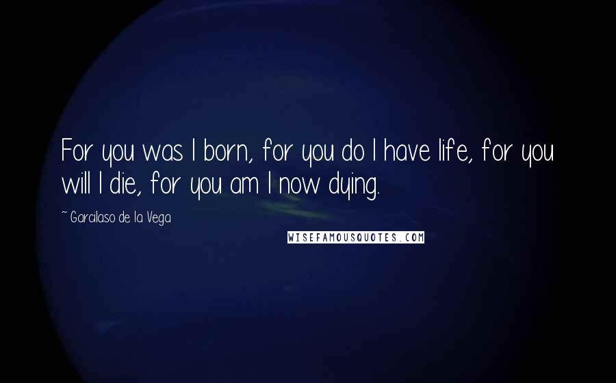 Garcilaso De La Vega Quotes: For you was I born, for you do I have life, for you will I die, for you am I now dying.