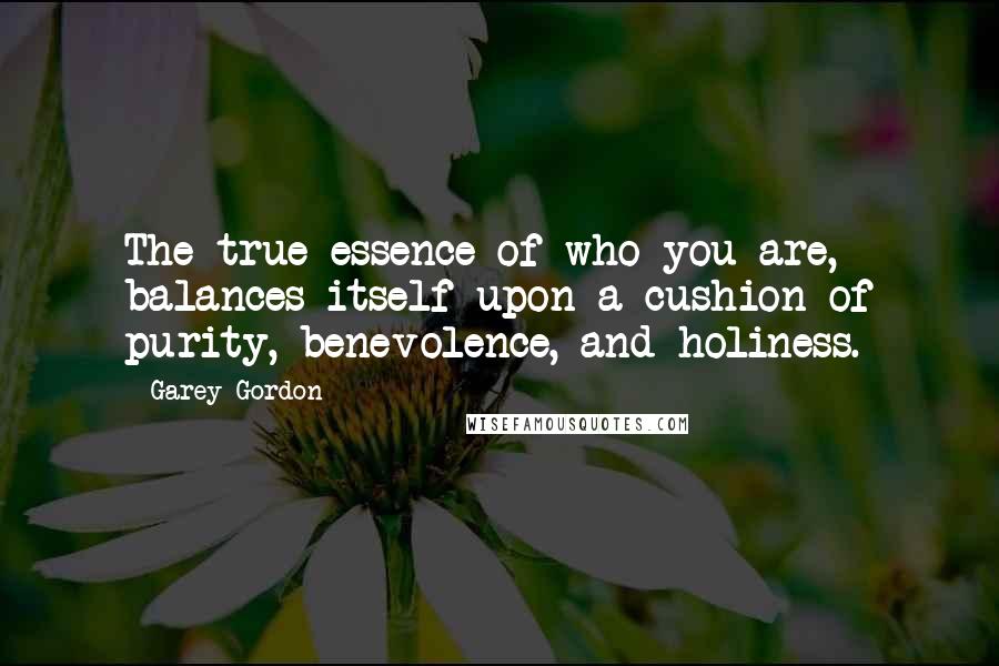 Garey Gordon Quotes: The true essence of who you are, balances itself upon a cushion of purity, benevolence, and holiness.