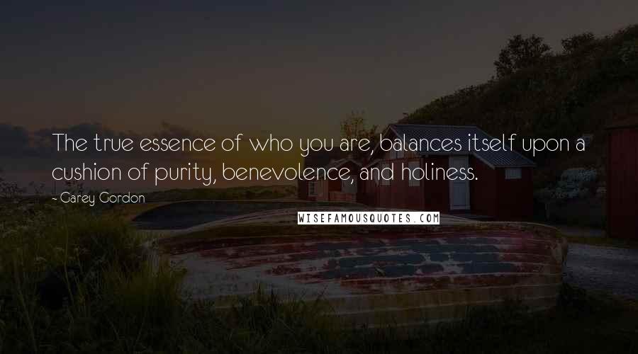 Garey Gordon Quotes: The true essence of who you are, balances itself upon a cushion of purity, benevolence, and holiness.