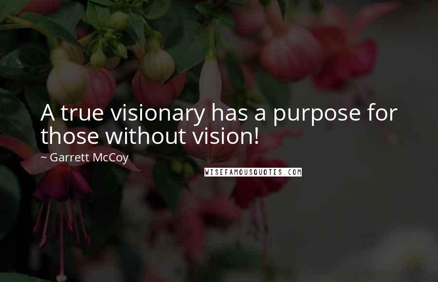 Garrett McCoy Quotes: A true visionary has a purpose for those without vision!