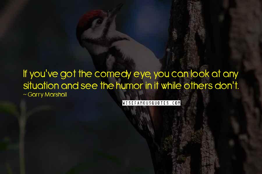 Garry Marshall Quotes: If you've got the comedy eye, you can look at any situation and see the humor in it while others don't.