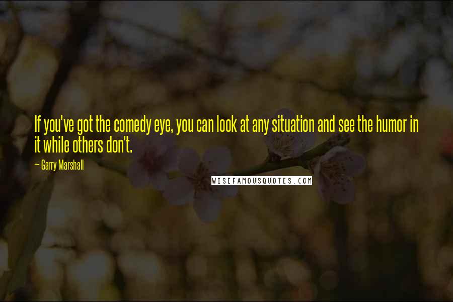 Garry Marshall Quotes: If you've got the comedy eye, you can look at any situation and see the humor in it while others don't.