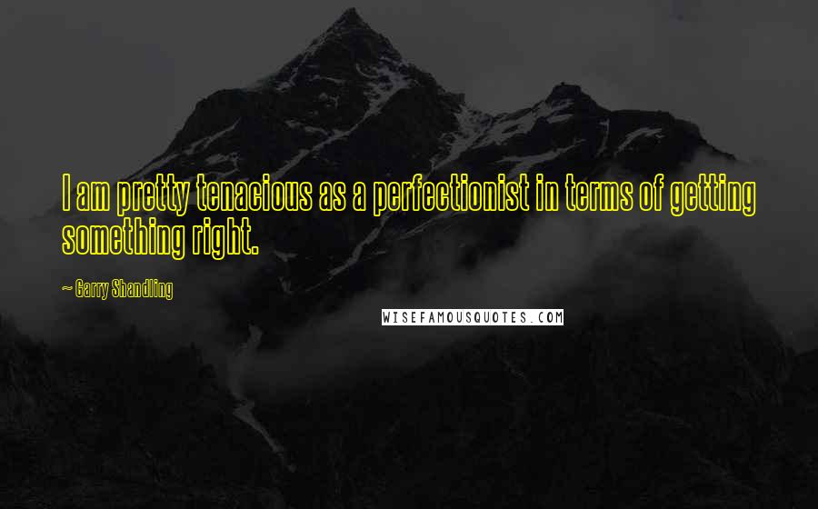 Garry Shandling Quotes: I am pretty tenacious as a perfectionist in terms of getting something right.