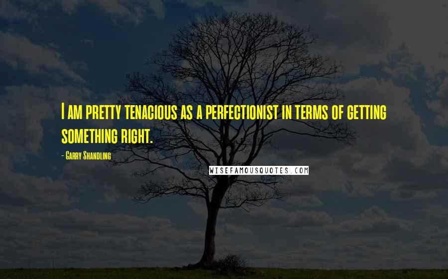 Garry Shandling Quotes: I am pretty tenacious as a perfectionist in terms of getting something right.