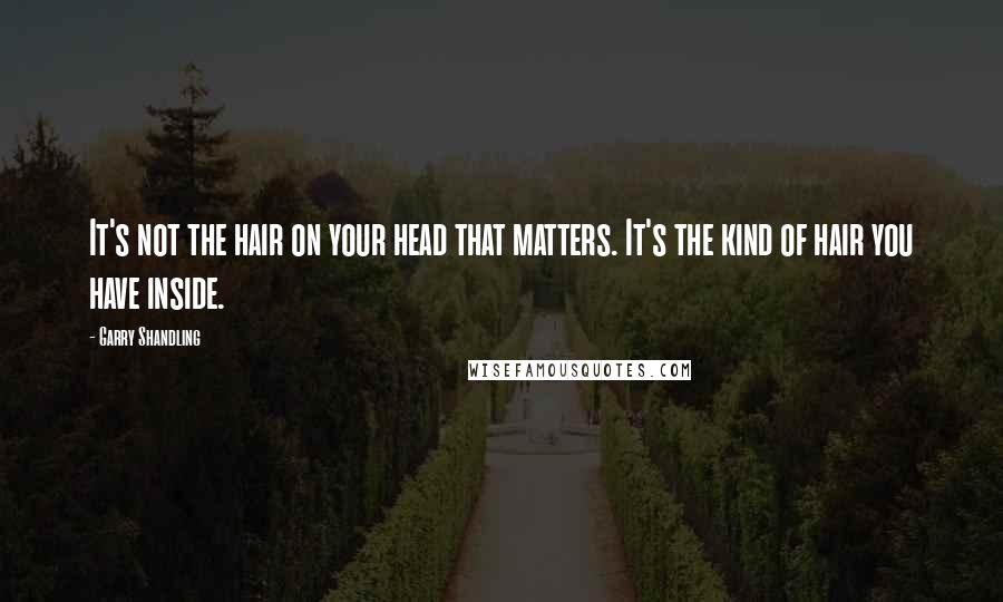 Garry Shandling Quotes: It's not the hair on your head that matters. It's the kind of hair you have inside.