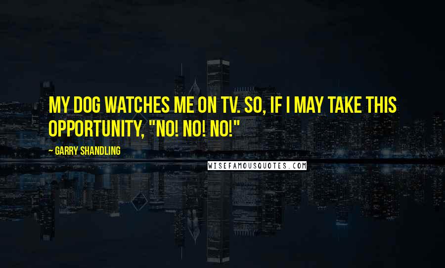 Garry Shandling Quotes: My dog watches me on TV. So, if I may take this opportunity, "No! No! No!"