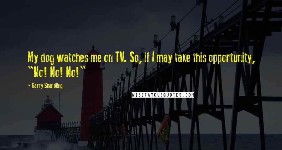 Garry Shandling Quotes: My dog watches me on TV. So, if I may take this opportunity, "No! No! No!"