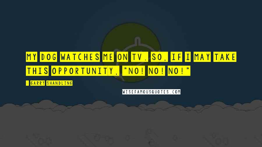 Garry Shandling Quotes: My dog watches me on TV. So, if I may take this opportunity, "No! No! No!"