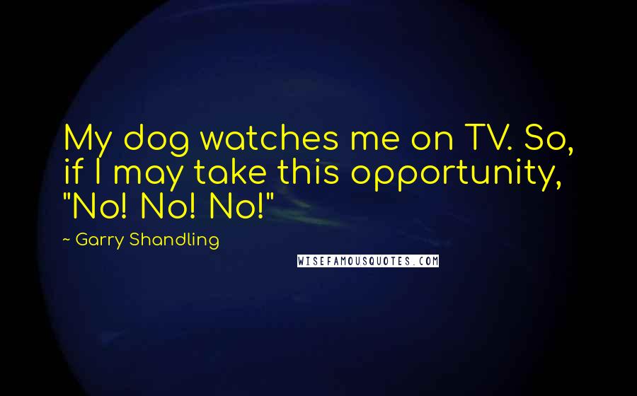 Garry Shandling Quotes: My dog watches me on TV. So, if I may take this opportunity, "No! No! No!"