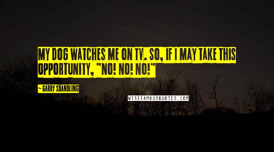 Garry Shandling Quotes: My dog watches me on TV. So, if I may take this opportunity, "No! No! No!"