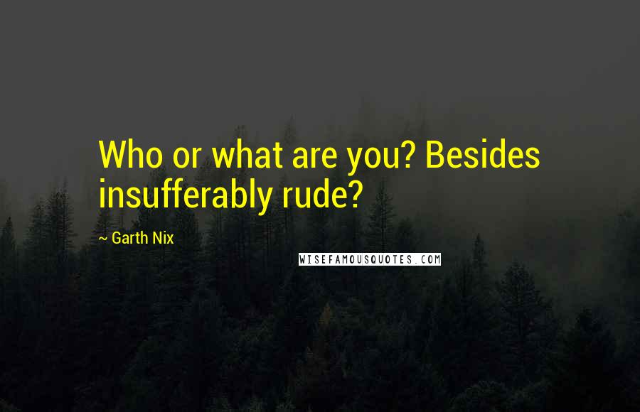 Garth Nix Quotes: Who or what are you? Besides insufferably rude?