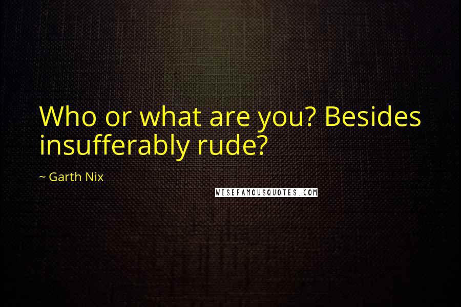 Garth Nix Quotes: Who or what are you? Besides insufferably rude?