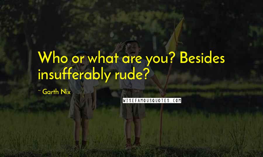 Garth Nix Quotes: Who or what are you? Besides insufferably rude?