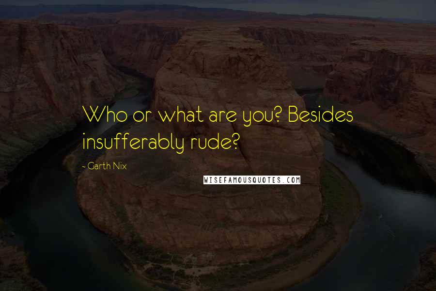 Garth Nix Quotes: Who or what are you? Besides insufferably rude?