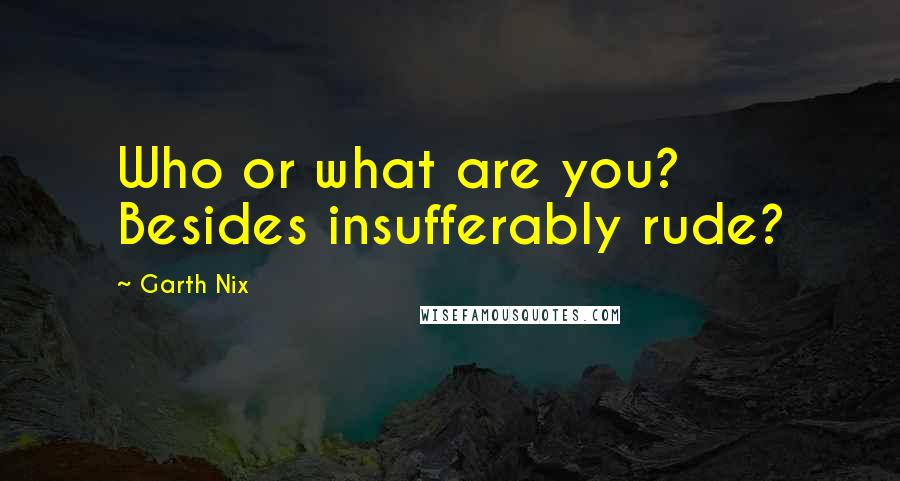 Garth Nix Quotes: Who or what are you? Besides insufferably rude?