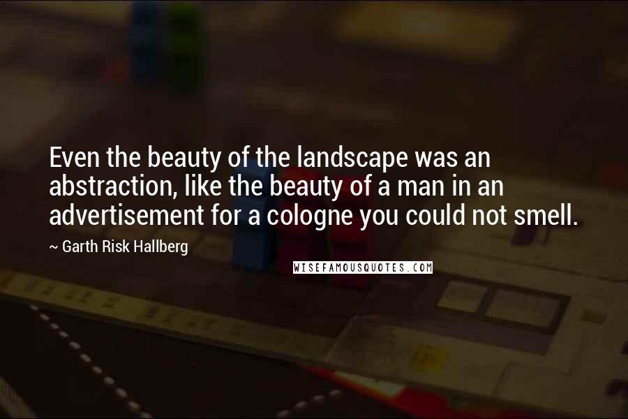 Garth Risk Hallberg Quotes: Even the beauty of the landscape was an abstraction, like the beauty of a man in an advertisement for a cologne you could not smell.