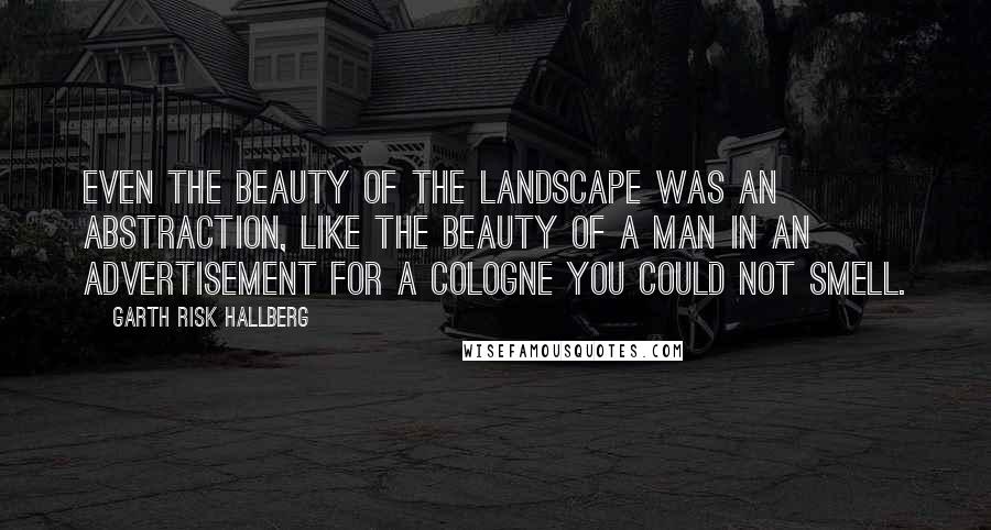 Garth Risk Hallberg Quotes: Even the beauty of the landscape was an abstraction, like the beauty of a man in an advertisement for a cologne you could not smell.