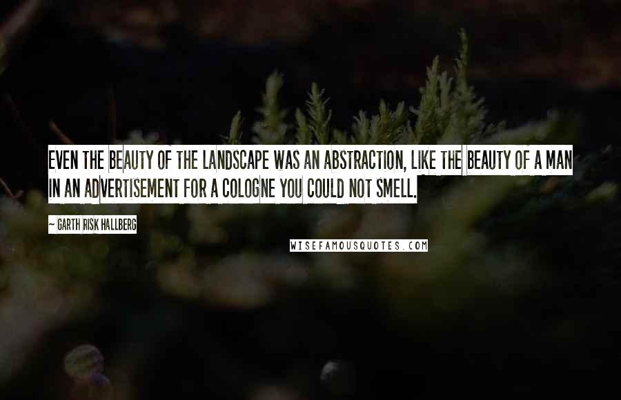 Garth Risk Hallberg Quotes: Even the beauty of the landscape was an abstraction, like the beauty of a man in an advertisement for a cologne you could not smell.