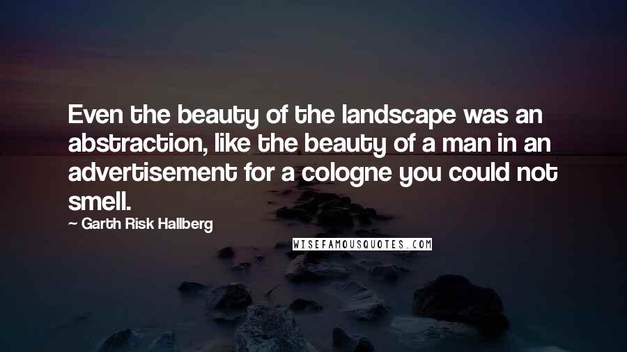 Garth Risk Hallberg Quotes: Even the beauty of the landscape was an abstraction, like the beauty of a man in an advertisement for a cologne you could not smell.