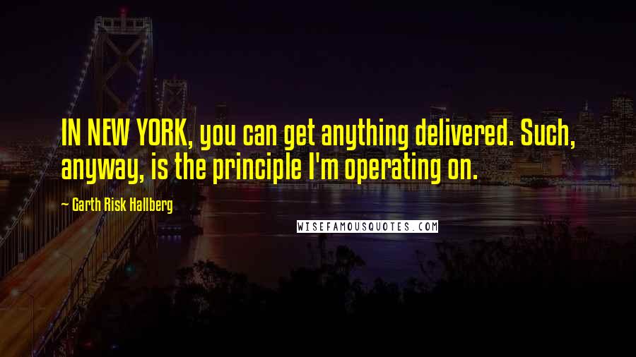 Garth Risk Hallberg Quotes: IN NEW YORK, you can get anything delivered. Such, anyway, is the principle I'm operating on.