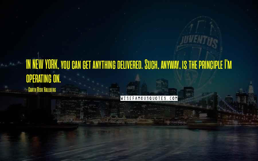 Garth Risk Hallberg Quotes: IN NEW YORK, you can get anything delivered. Such, anyway, is the principle I'm operating on.