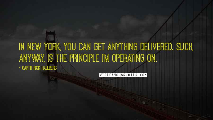 Garth Risk Hallberg Quotes: IN NEW YORK, you can get anything delivered. Such, anyway, is the principle I'm operating on.