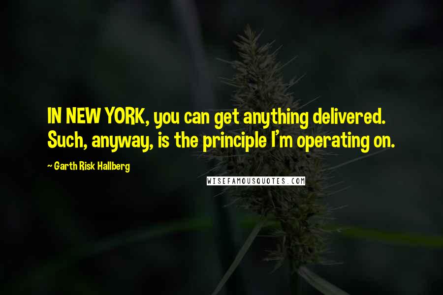 Garth Risk Hallberg Quotes: IN NEW YORK, you can get anything delivered. Such, anyway, is the principle I'm operating on.