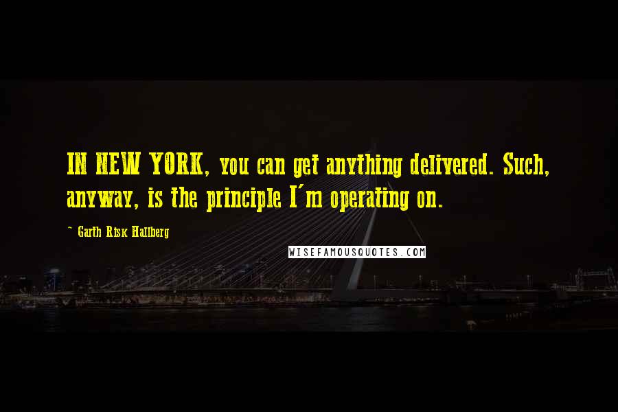 Garth Risk Hallberg Quotes: IN NEW YORK, you can get anything delivered. Such, anyway, is the principle I'm operating on.