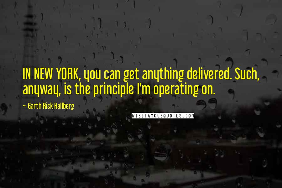 Garth Risk Hallberg Quotes: IN NEW YORK, you can get anything delivered. Such, anyway, is the principle I'm operating on.