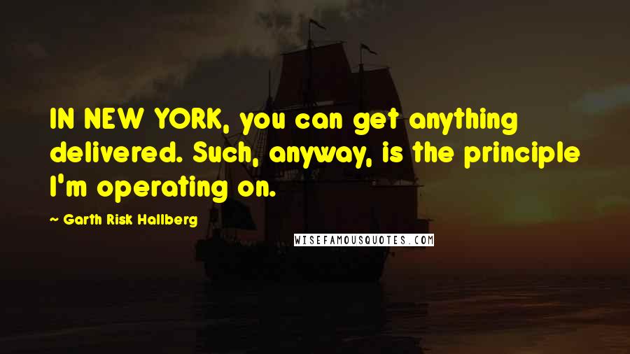 Garth Risk Hallberg Quotes: IN NEW YORK, you can get anything delivered. Such, anyway, is the principle I'm operating on.