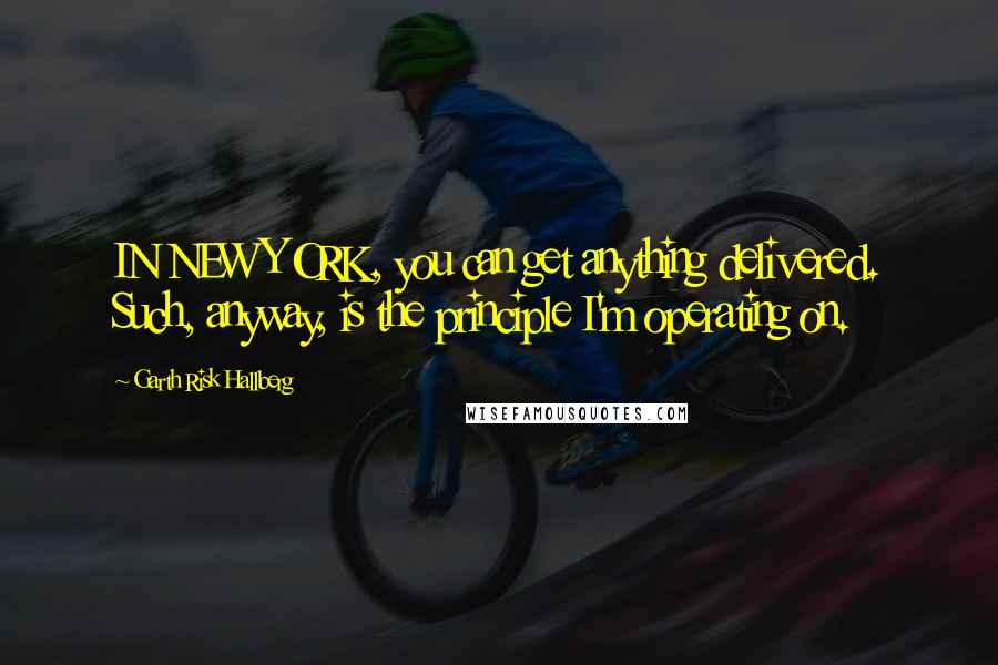 Garth Risk Hallberg Quotes: IN NEW YORK, you can get anything delivered. Such, anyway, is the principle I'm operating on.