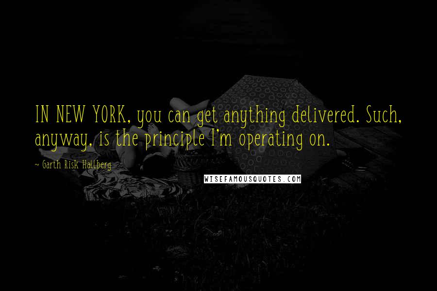 Garth Risk Hallberg Quotes: IN NEW YORK, you can get anything delivered. Such, anyway, is the principle I'm operating on.