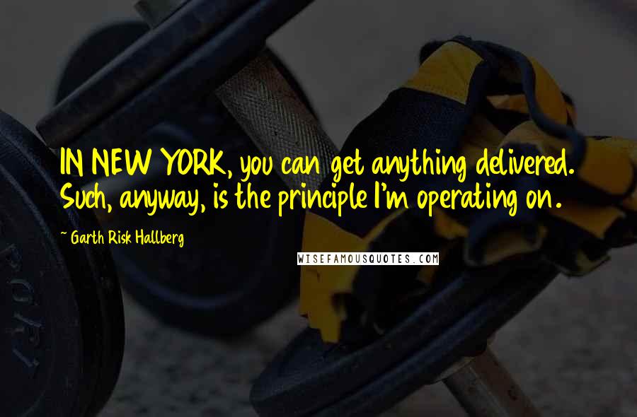 Garth Risk Hallberg Quotes: IN NEW YORK, you can get anything delivered. Such, anyway, is the principle I'm operating on.