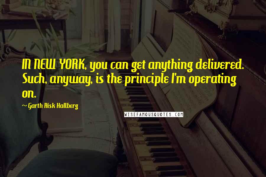 Garth Risk Hallberg Quotes: IN NEW YORK, you can get anything delivered. Such, anyway, is the principle I'm operating on.