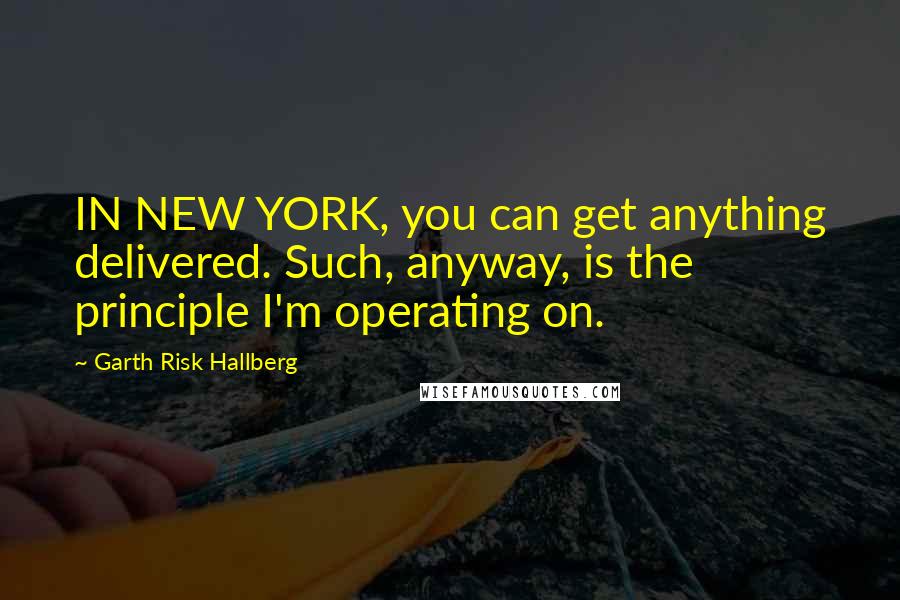 Garth Risk Hallberg Quotes: IN NEW YORK, you can get anything delivered. Such, anyway, is the principle I'm operating on.