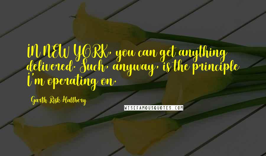 Garth Risk Hallberg Quotes: IN NEW YORK, you can get anything delivered. Such, anyway, is the principle I'm operating on.