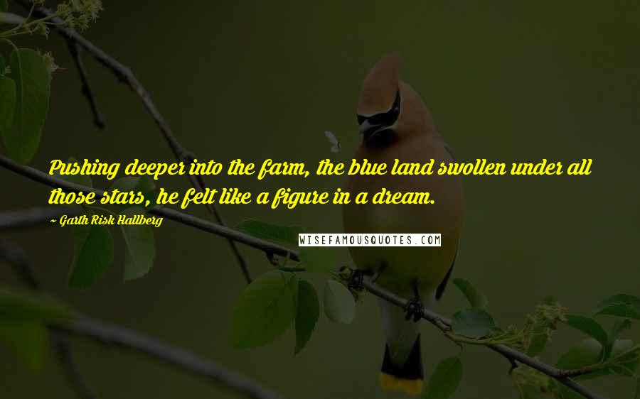 Garth Risk Hallberg Quotes: Pushing deeper into the farm, the blue land swollen under all those stars, he felt like a figure in a dream.