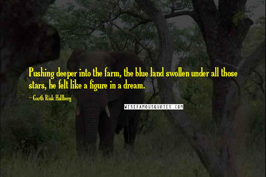 Garth Risk Hallberg Quotes: Pushing deeper into the farm, the blue land swollen under all those stars, he felt like a figure in a dream.