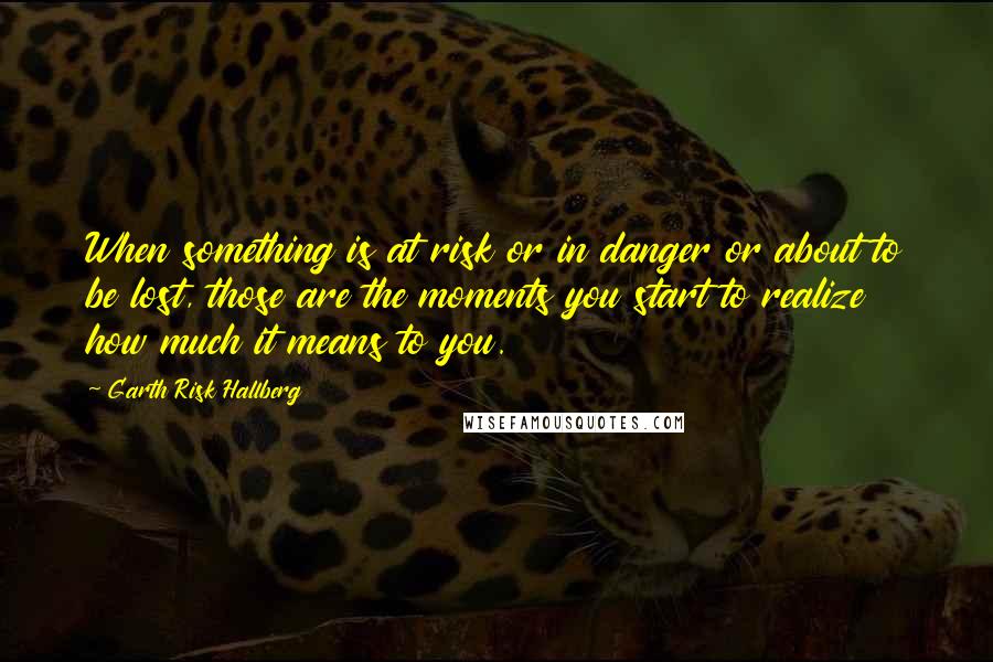 Garth Risk Hallberg Quotes: When something is at risk or in danger or about to be lost, those are the moments you start to realize how much it means to you.