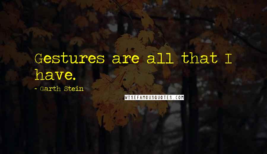 Garth Stein Quotes: Gestures are all that I have.