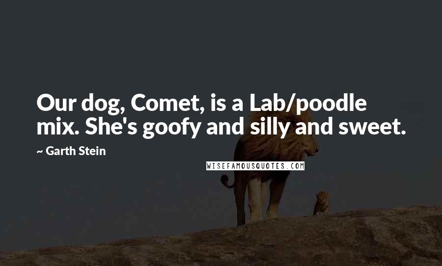 Garth Stein Quotes: Our dog, Comet, is a Lab/poodle mix. She's goofy and silly and sweet.