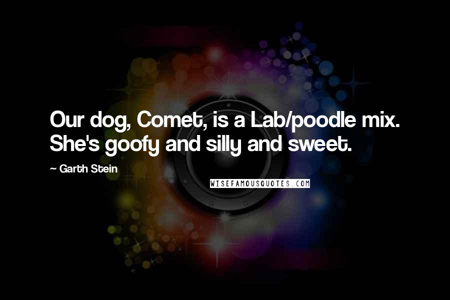 Garth Stein Quotes: Our dog, Comet, is a Lab/poodle mix. She's goofy and silly and sweet.