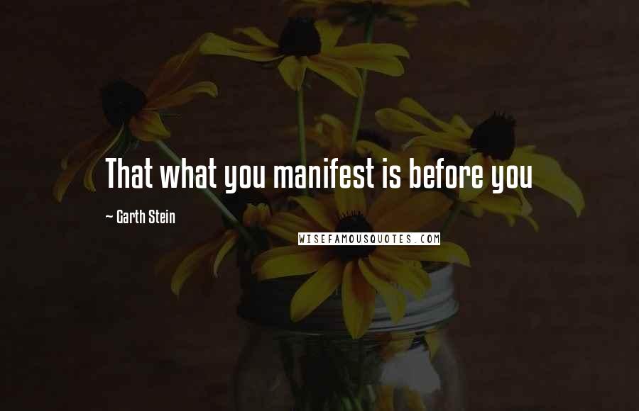 Garth Stein Quotes: That what you manifest is before you